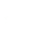 foundersinstitute